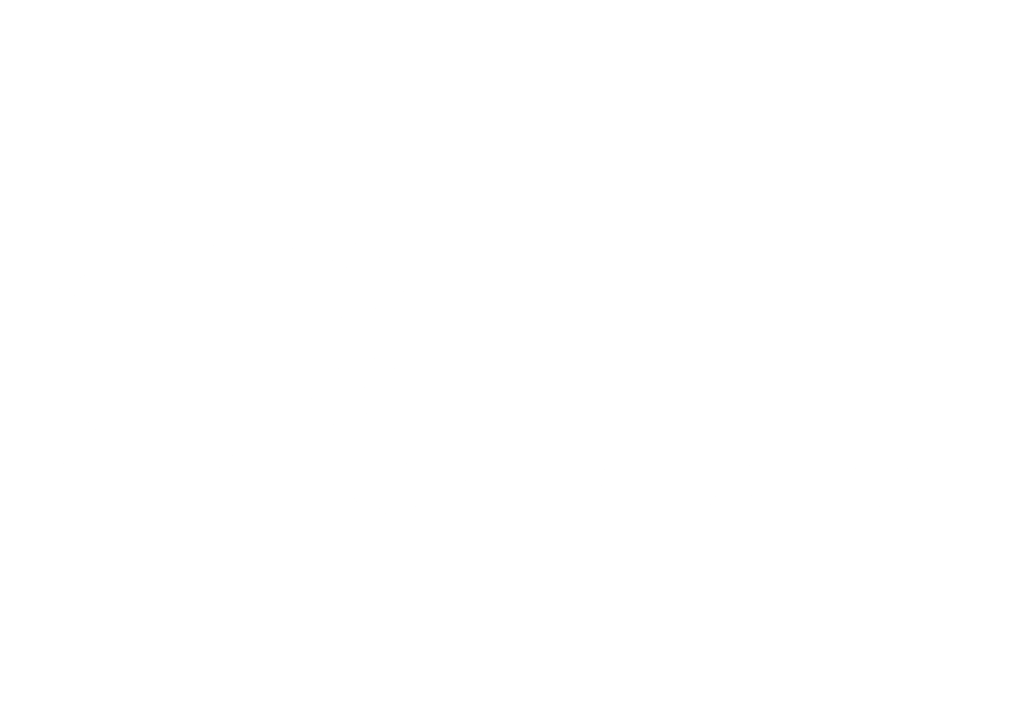 Data Travel logo